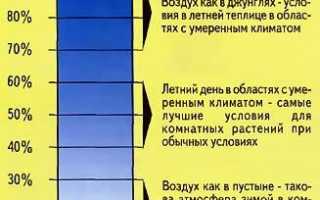 Оптимальная норма влажности воздуха в квартире: способы регулирования
